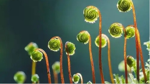 我国研发的微观世界“超级相机”交付使用